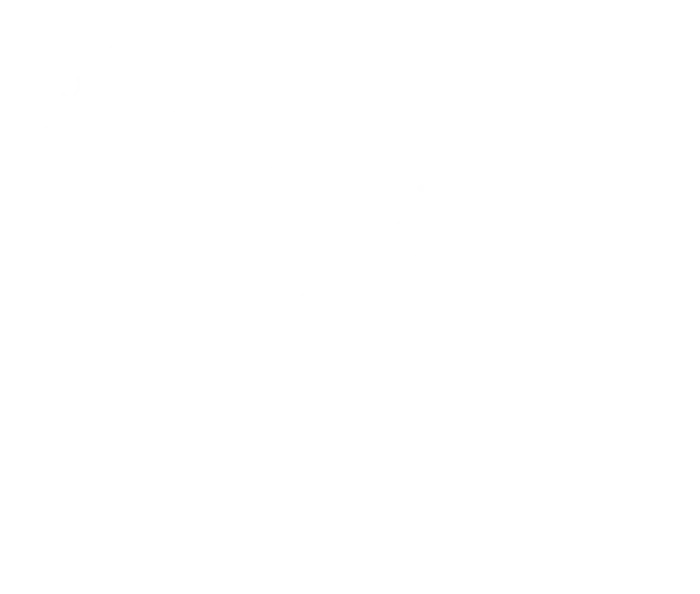 Connecting Regions: Partnerships for Resilient and Sustainable Supply Chains