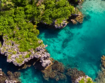 A comprehensive overview of global biodiversity finance