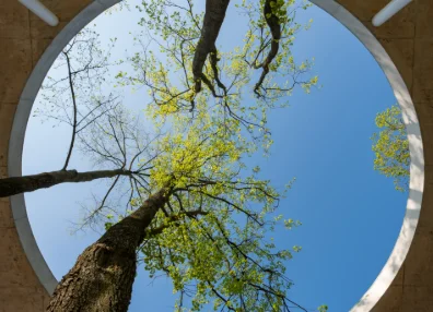 Sustainability-Linked Bonds: How to make them work in developing countries, and how donors can help