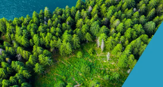 Biodiversity, natural capital and the economy: A policy guide for finance, economic and environment ministers