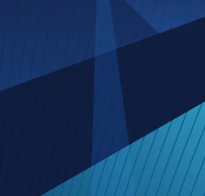 Cross-border investment into low-carbon infrastructure: An empirical glance