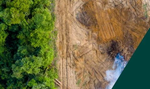 Assessing biodiversity-related financial risks: Navigating the landscape of existing approaches