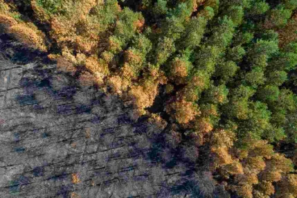A supervisory framework for assessing nature-related financial risks