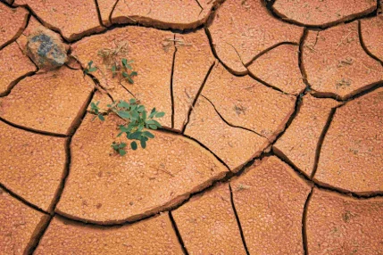 Global Drought Outlook: Trends, Impacts and Policies to Adapt to a Drier World