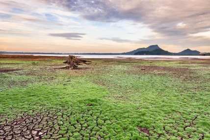 Biodiversity and fragility: A perspective on fragile contexts