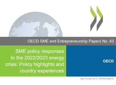 SME policy responses to the 2022/2023 energy crisis