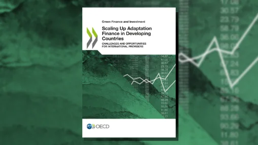 Scaling Up Adaptation Finance in Developing Countries