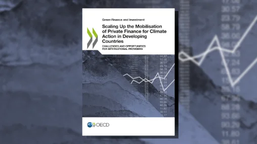 Scaling Up the Mobilisation of Private Finance for Climate Action in Developing Countries