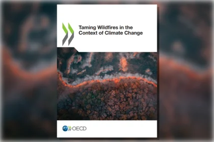 Taming Wildfires in the Context of Climate Change