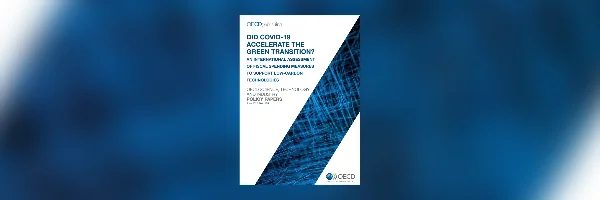 Did COVID-19 accelerate the green transition?