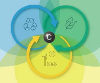 Carbon management, the bioeconomy and beyond