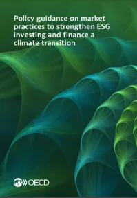 Policy guidance on market practices to strengthen ESG investing and finance a climate transition