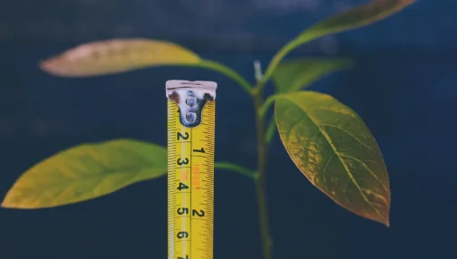 Measuring Progress in Adapting to a Changing Climate: Insights from OECD countries