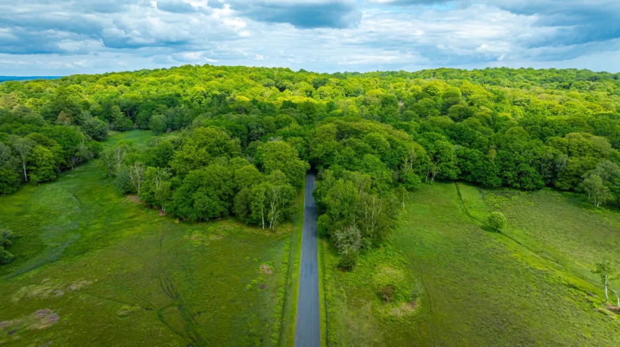 Advancing agriculture, forestry and other land use policies: A stocktake of greenhouse gas mitigation efforts