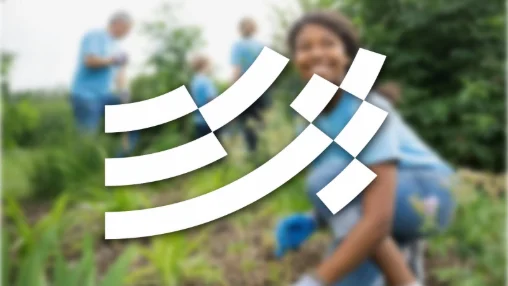 The Urban Forest Innovation Lab