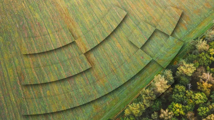 Les forêts, l'agriculture et l'utilisation des terres, pierres angulaires de l'action climatique