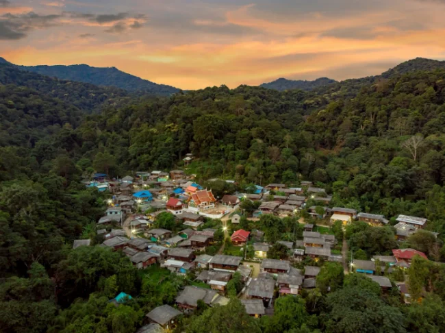Session 5: Forestry and rural development