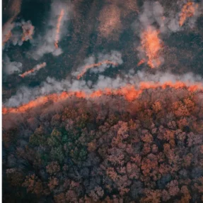 Taming Wildfires in the Context of Climate Change