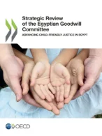 Strategic Review of the Egyptian Goodwill Committee
