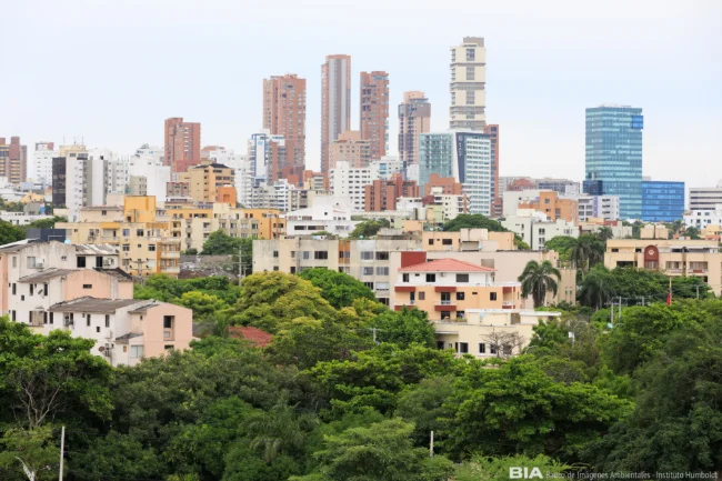BiodiverCiudades: Desde las voces de las y los alcaldes