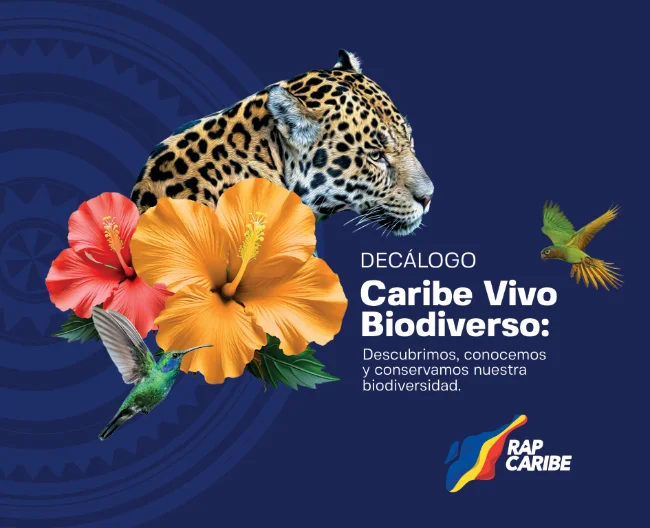 Caribe Vivo Biodiverso: Avanzando en el desarrollo económico local sostenible a través de la alineación institucional público-privada.