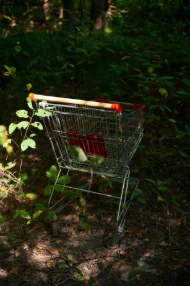 Nudging Consumers towards Greener Choices