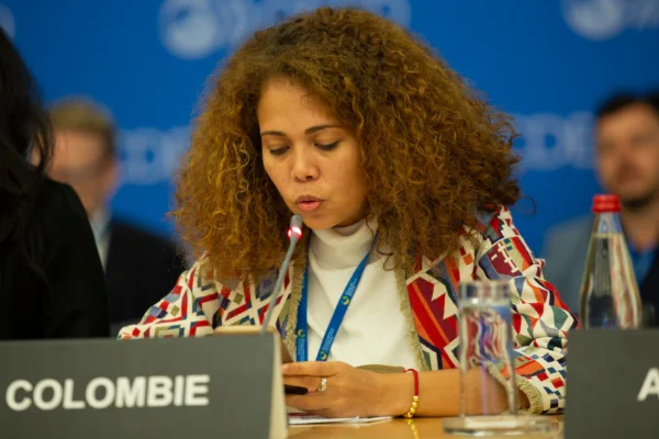 OECD%252520Science%252520and%252520Technology%252520Policy%252520Ministerial_Day%2525202%252520(3).jpg
