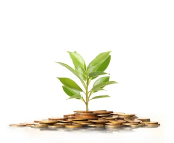 Egypt's low-carbon hydrogen and transmission grid financing