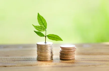 What to watch for at the 2025 OECD Forum on Green Finance and Investment