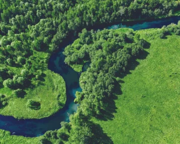 Scaling Up Biodiversity-Positive Incentives: Delivering on Target 18 of the Global Biodiversity Framework