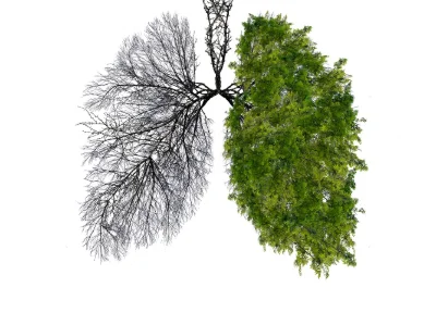 Health as the Central Driver for Action on Climate Change