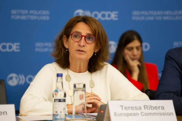 OECD-29.jpg