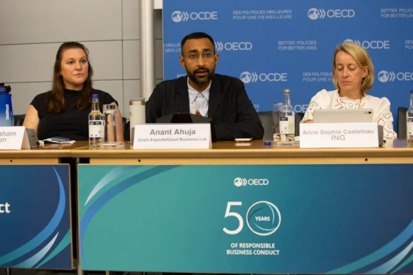OECD-020.JPG