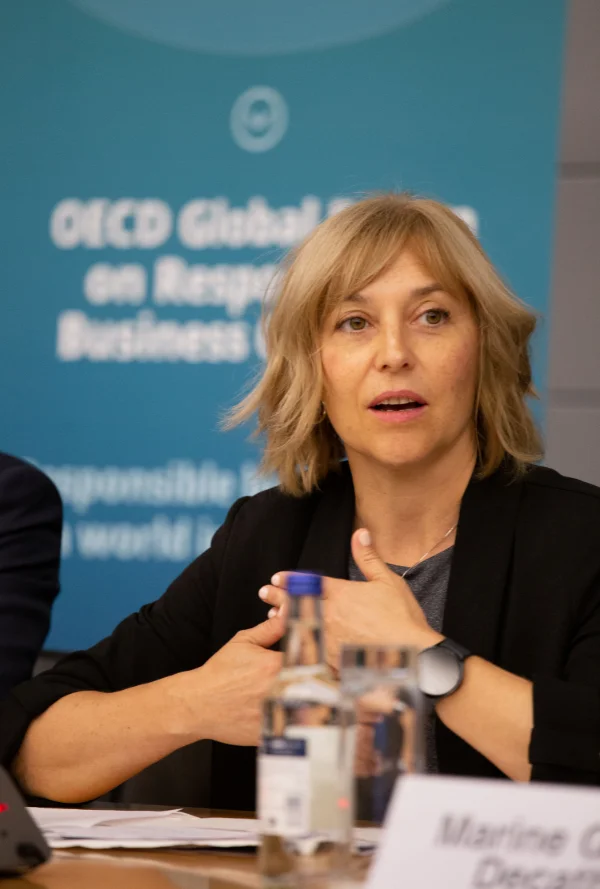 OECD-019.JPG