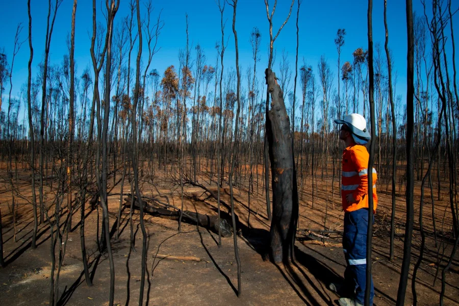 Macroeconomic resilience under pressure: Climate risks, energy security and fiscal constraints