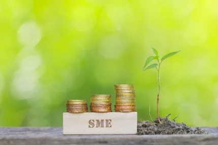 No Net Zero without SMEs: Exploring the Key Issues for Greening SMEs and Green Entrepreneurship