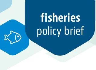 Policy Brief: Supporting Sustainable Fisheries