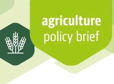 Policy brief: Agricultural Policy Monitoring and Evaluation 2023
