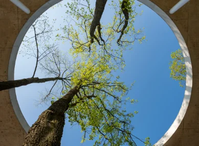 Sustainability-Linked Bonds