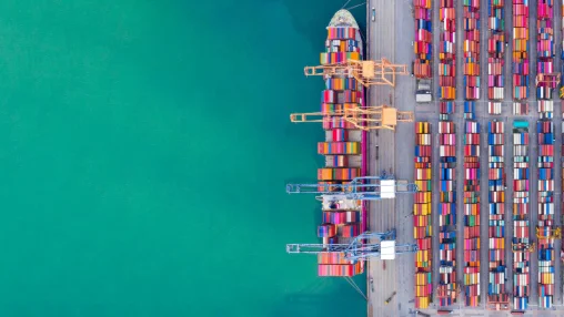 Harnessing trade and environmental policies to accelerate the green transition