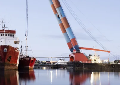 Peer review of the Danish shipbuilding industry
