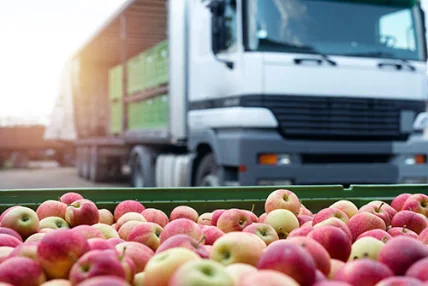 Environmental impacts along food supply chains: Methods, findings, and evidence gaps