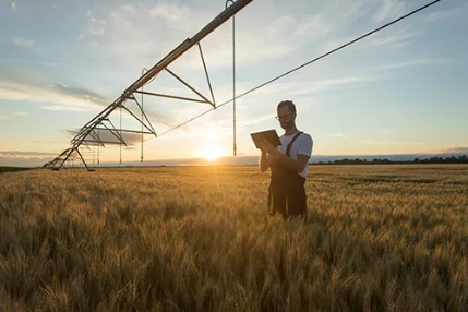 Fast and furious: the rise of environmental impact reporting in food systems
