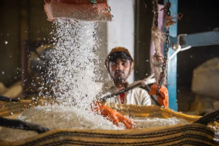 Une étude de cas de la chaîne de valeur des matières plastiques