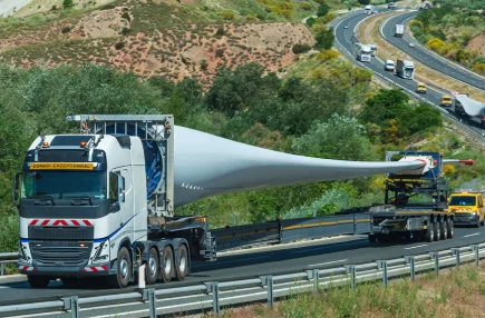 The case of the wind turbine manufacturing industry