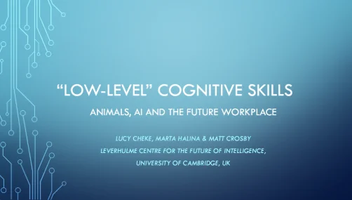 “Low-level” cognitive skills