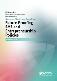 Key Issues Paper