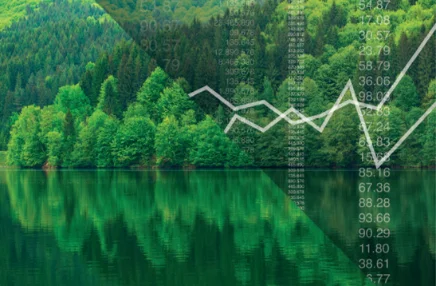 Developing Sustainable Finance Definitions and Taxonomies