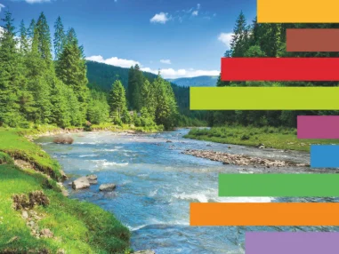 Environment at a Glance