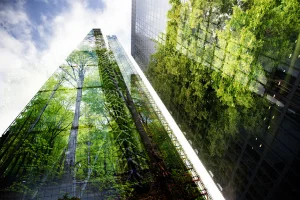 Subnational Government Climate Finance